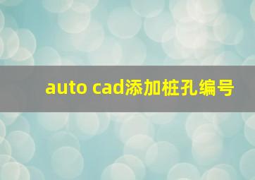 auto cad添加桩孔编号